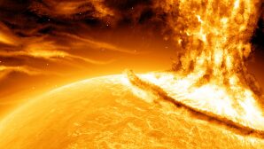 Ученые: скоро Солнце уничтожит человечество и все живое на Земле