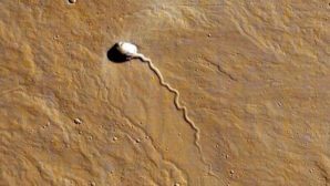 Британские уфологи нашли на Марсе гигантское НЛО-сперматозоид