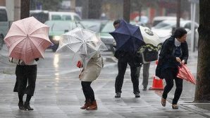Дождь и ветер: МЧС Чувашии предупреждает о неблагоприятных метеоявлениях