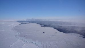 Гигантская полынья размером с два Подмосковья в Антарктиде заинтересовала ученых