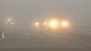 Страшная авария в тумане в Ростовской области: погибла 24-летняя девушка
