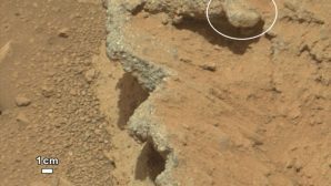 Учёные: на Марсе обнаружена огромная бутылка и скульптура крокодила