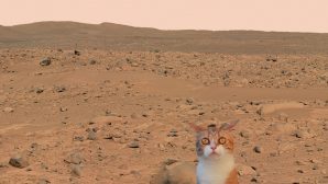 Уфологи нашли на Марсе ужасного шестиметрового кота-мутанта