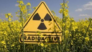 В Европе зафиксирован всплеск радиоактивности в воздухе?