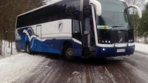 ДТП на трассе в Карелии: автобус с пассажирами сьехал в кювет