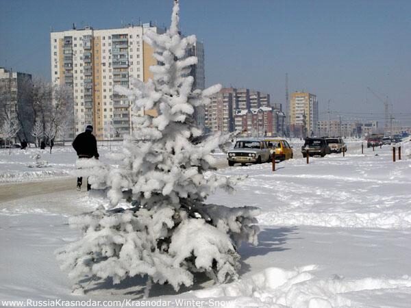Когда зима придет на Кубань – рассказали синоптики