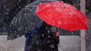 На выходных в Воронеже пройдет снег с дождем — синоптики