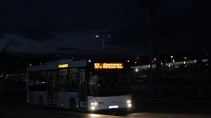 Рейсовый автобус насмерть сбил пешехода в Ростовской области