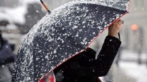 Синоптики: в Карелии во вторник? ожидается мокрый снег и гололед
