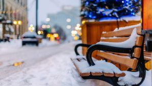 Синоптики: в Новосибирске до середины недели ожидается снежная погода