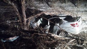Смертельная авария в Воронежской области: перевернулась иномарка, 54-летний водитель погиб