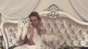Волочкова сфотографировалась голой в кровати, прикрыв грудь котом?