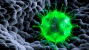 Газетная утка про «астероид с вирусом» возмутила ученых