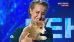 Ксении Собчак подарили очаровательного щенка за песню в эфире НТВ