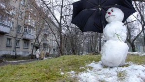 Метеорологи: декабрьская погода в Рязани стала самой теплой за всю историю