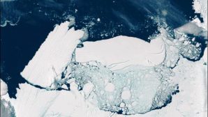 Момент раскола антарктического айсберга-гиганта попал на видео