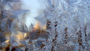 Морозы до -22° принесет жителям Заполярья первый день зимы
