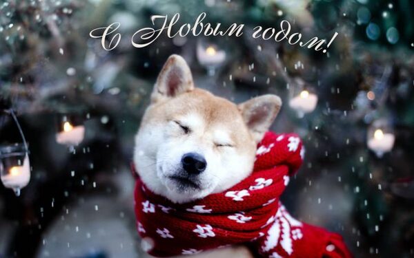 Поздравления с Новым 2018 годом Собаки короткие красивые: лучшие пожелания