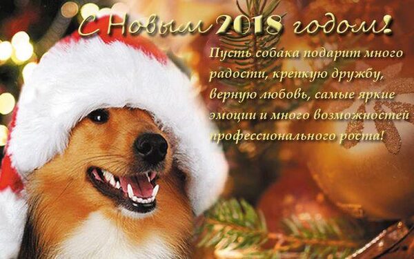 Поздравления с Новым годом 2018 в стихах и прозе: красивые, веселые, добрые пожелания к 2018 году Собаки