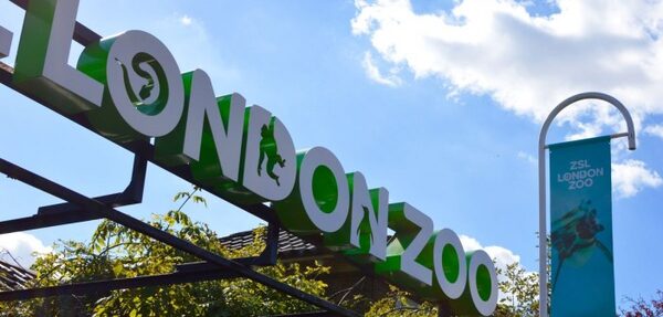 Пожар в зоопарке Лондона: есть пострадавшие