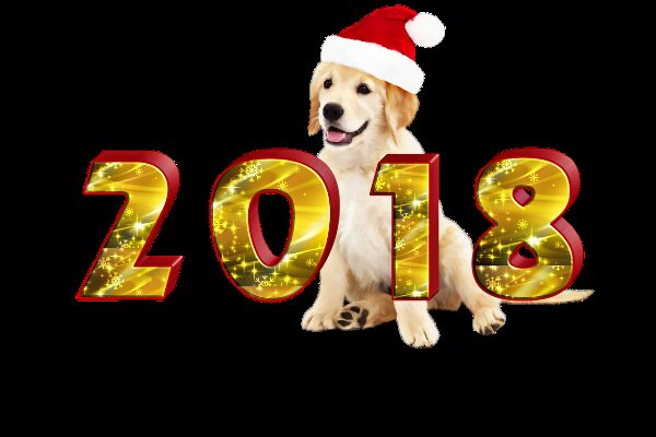 Приметы в новогоднюю ночь 2018 года – что нельзя делать в преддверии года Желтой собаки