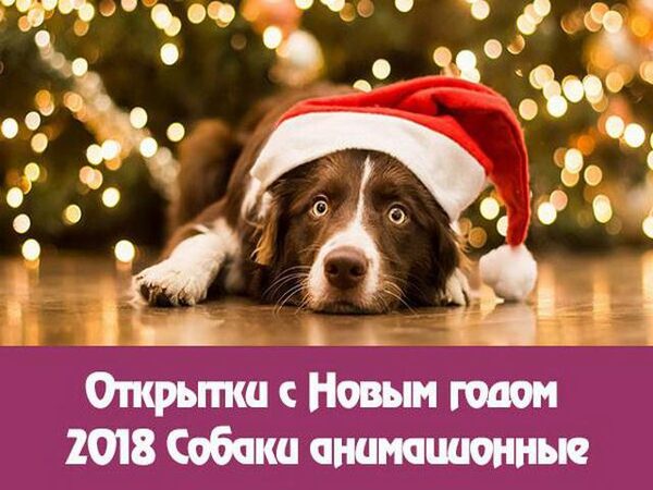 Самые лучшие поздравления с Новым годом 2018: анимированные собачки