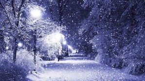 Синоптики: в Липецкой области прогнозируют снегопад