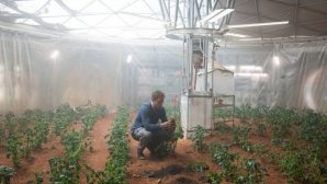 Ученые ОАЭ хотят высадить клубнику на Марсе
