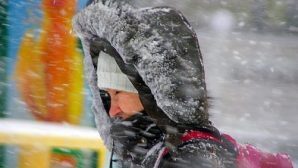 Ветер, снег и потепление? придут в Сахалин на будущей неделе