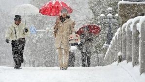 20 января ожидается снегопад в Архангельской области