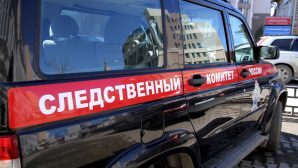 25-летний водитель из Омска жестоко убил пенсионера в Севастополе?