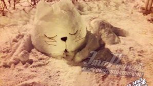 Креативные снеговики в Ростове: котик, сфинкс и пирамида
