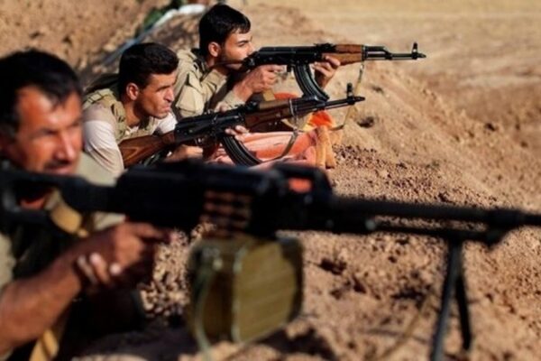 Курды просят защиты России от «фашистского турецкого режима»