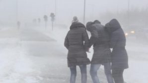 На Хакасию обрушится снег, метель, сильный ветер и гололёд