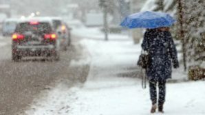 Снегопад с метелью ожидаются в выходные в Костромской области