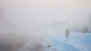 В Курской области ожидается сильный мороз и туман