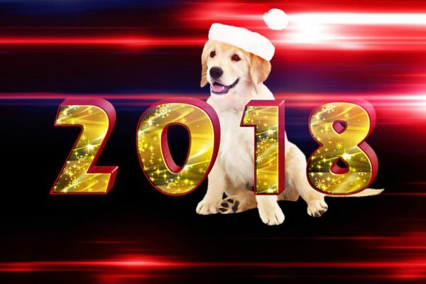 Китайский Новый год Желтой Собаки 2018: картинки, открытки с поздравлениями, пожелания