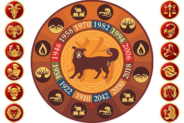 Наступил год Желтой Земляной Собаки: астрологи советуют быть осторожными 3 знакам Зодиака
