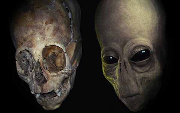 Результаты ДНК вытянутых черепов из Паракаса привели ученых к неожиданным выводам