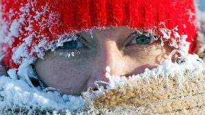 Снег и морозы ждут воронежцев на рабочей неделе — синоптики