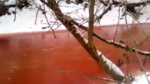 Видео с кровавой рекой под Пензой? взорвало Интернет
