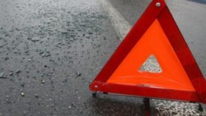50-летний водитель фуры погиб в жутком ДТП на М10 в Валдайском районе