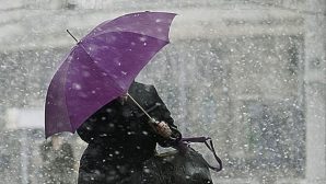 Дождь и снег придут в Воронеж с Балкан на рабочей неделе — синоптики