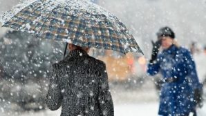 Мороз до -21 и снег ожидаются в понедельник в Белгороде