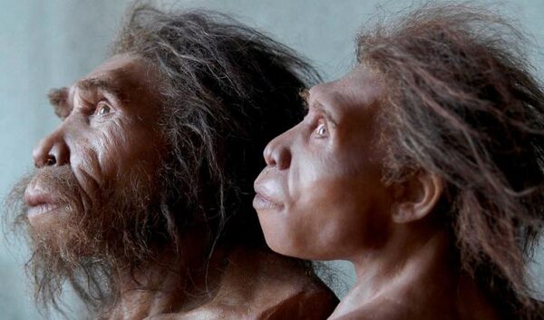 Найден новый подвид древнего человека: открытие генетиков меняет картину эволюции