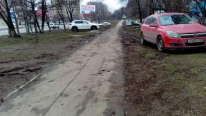 «Парковочное свинство» в центре города возмутило ростовчан