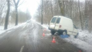 Под Калининградом погиб водитель, протаранивший дерево