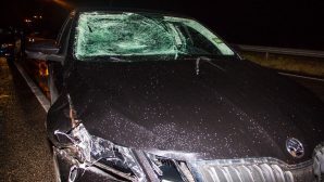 Под Тулой водитель Skoda сбил пешехода-нарушителя