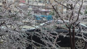 Синоптики: в Вологде пройдет ледяной дождь