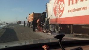 Ужасающее ДТП с фурой в Забайкалье — погиб водитель